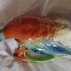 Duck pitcher