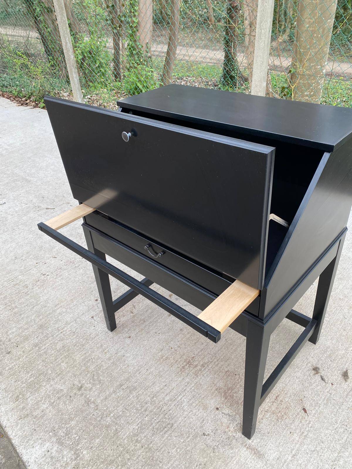 Black Scandinavian secretary