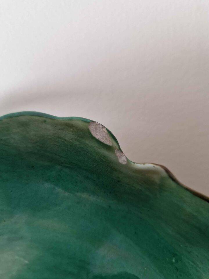 Old asparagus dish in barbotine