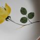 6 Villeroy and Boch Ophélia soup plates