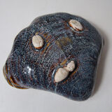 ceramic crab shell empty pocket