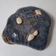ceramic crab shell empty pocket