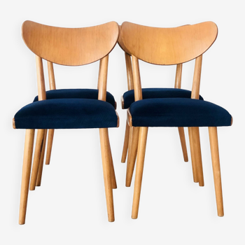 Beech wood chairs, Czechoslovakia 1950s