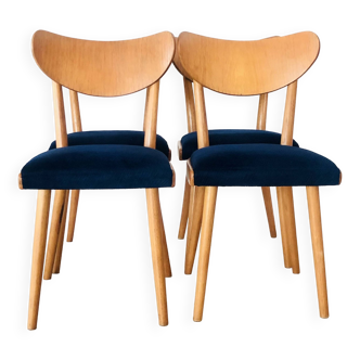 Beech wood chairs, Czechoslovakia 1950s