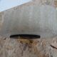 Modernist wall lamps Arlus