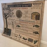Botanical school board