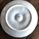 Oyster plates