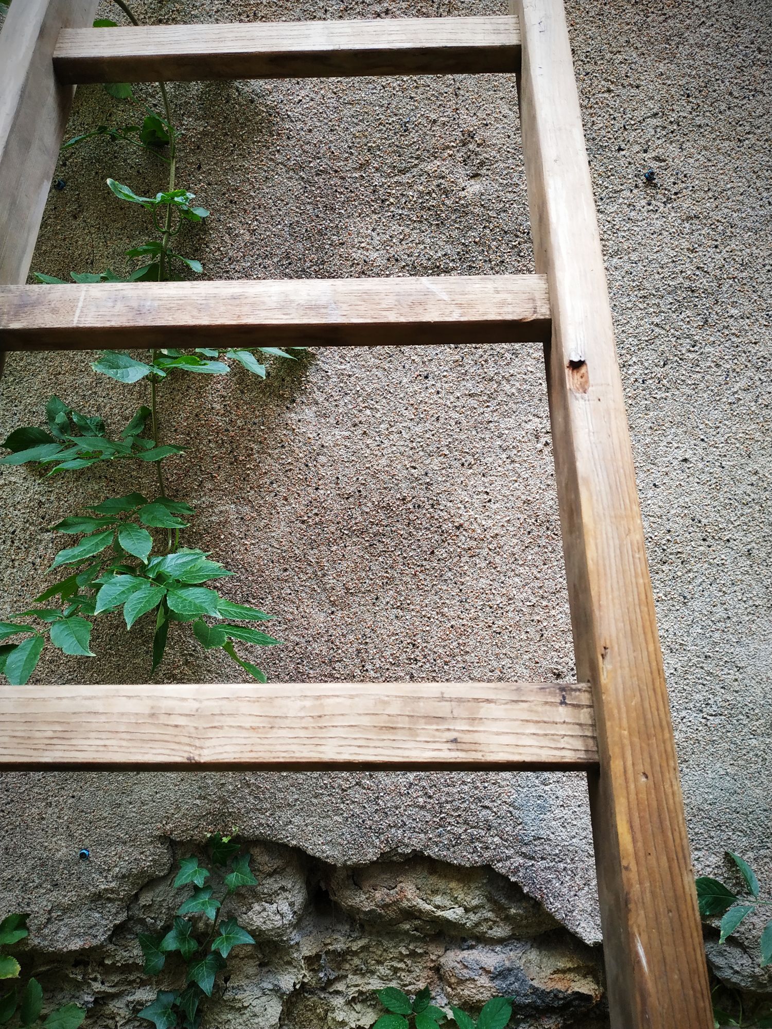 Old Cognet scale 321 cm