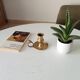 Antique hand candlestick in solid gilded brass.