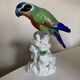 19th century Saxony porcelain parrot signed