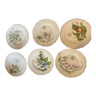 Series of plates with floral designs.