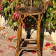 Pair of 1960s rattan stools from France.