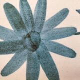 Pair of Longchamp bowls – glazed earthenware from the 60s/70s