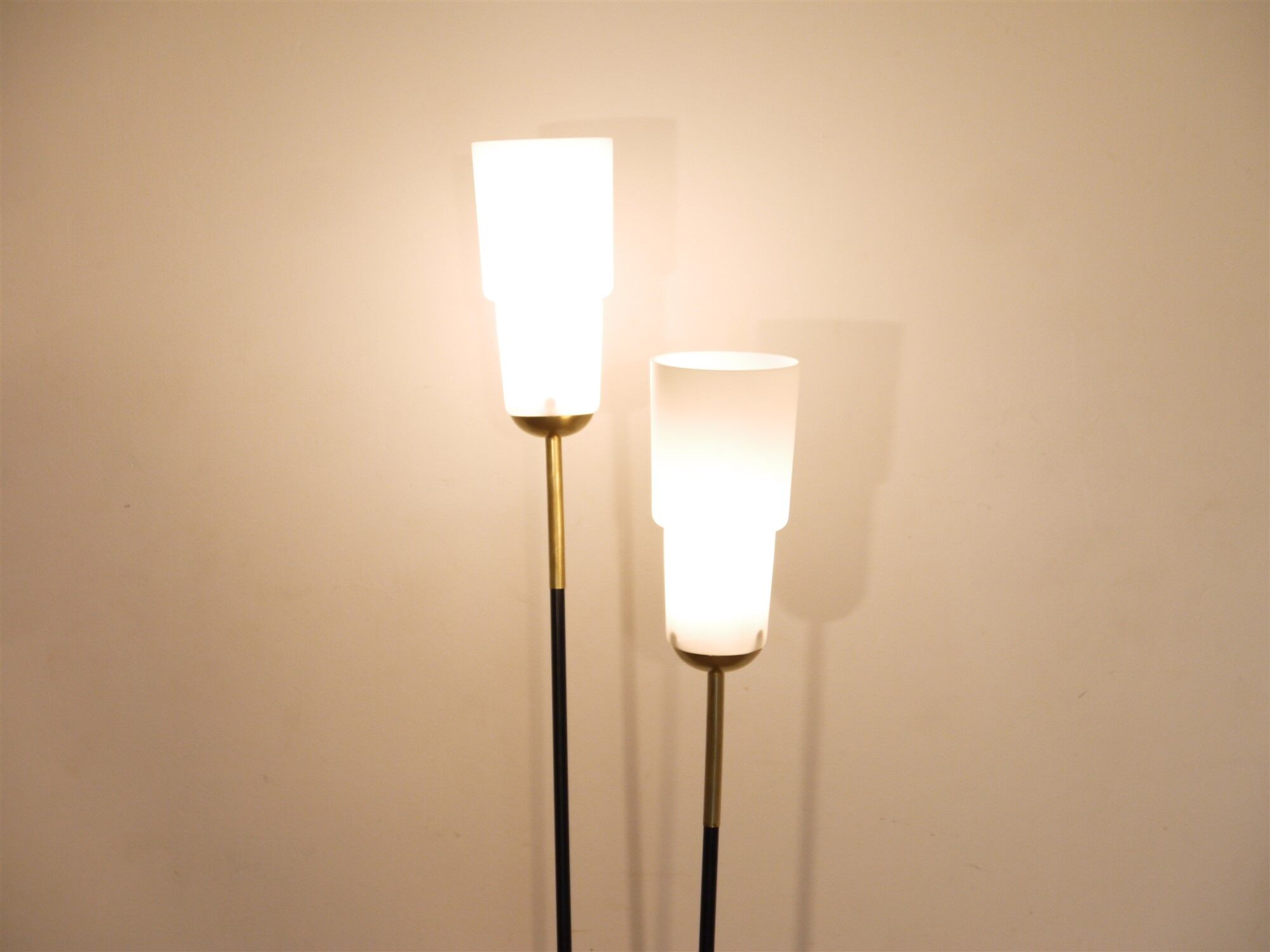Floor lamp 1950 in brass metal and opaline