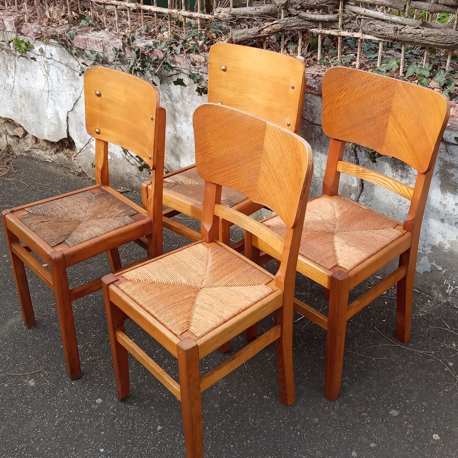 Paire de chaises paillées années 50