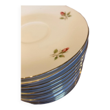 12 cups / saucer Bavaria Porcelain