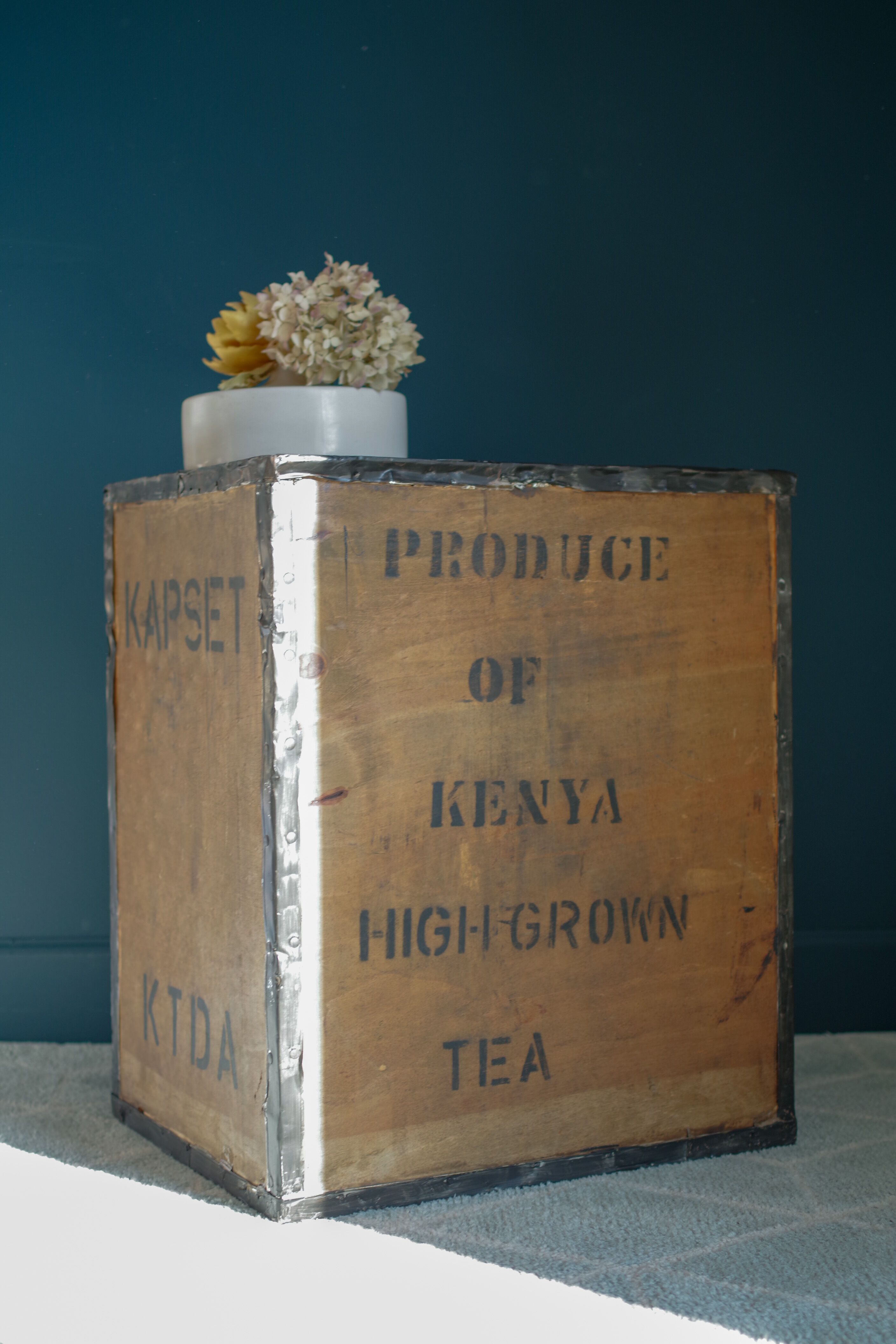Vintage transport case