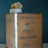 Vintage transport case