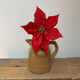 Pitcher