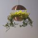 Danish plant holder with lighting by Poul Cadovius for Hans Følsgaard, '60