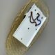 1960s/70s Lamp/Wall Light, Glass, Brass, Leaf, Space Age Design