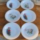 Set of 6 plates in arcopal 70
