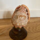 Shell lamp