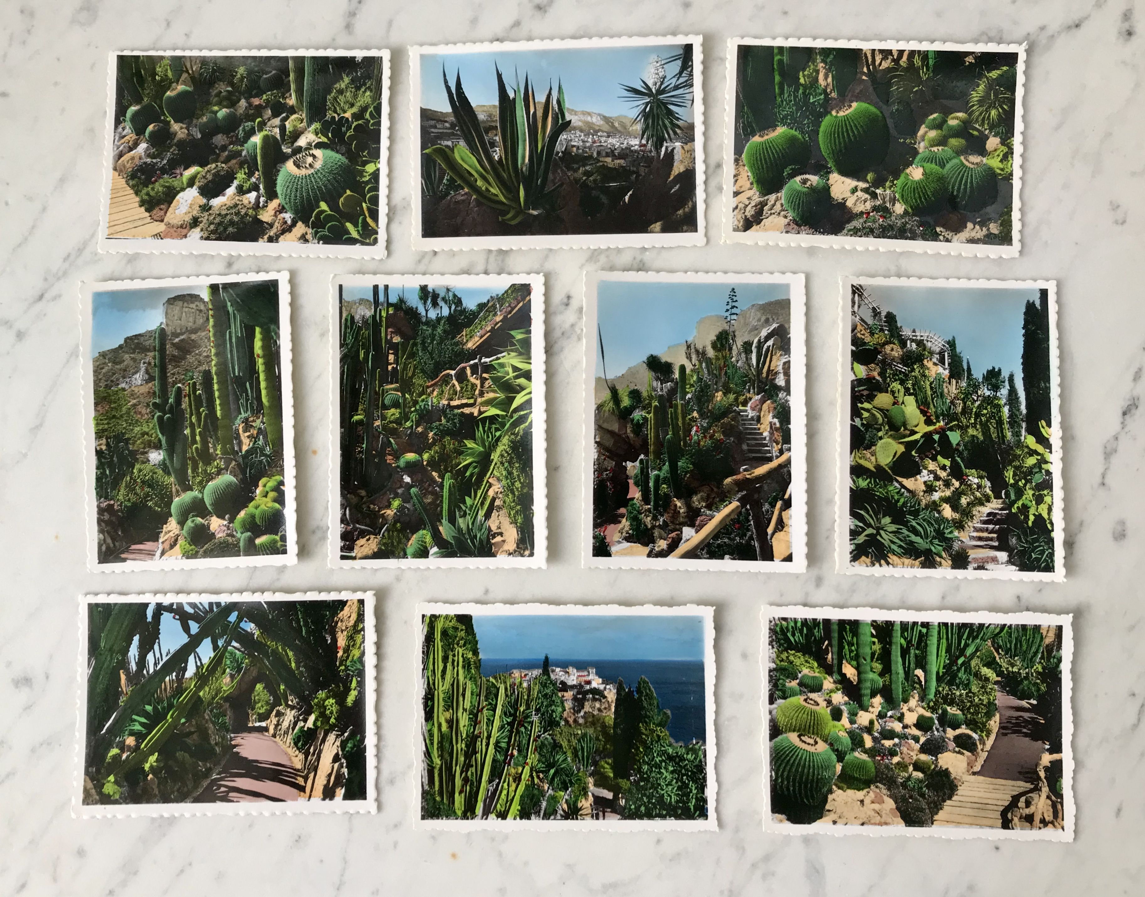 Set of 10 vintage photographs "Exotic Garden" Monaco 70s