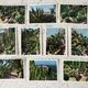 Set of 10 vintage photographs "Exotic Garden" Monaco 70s