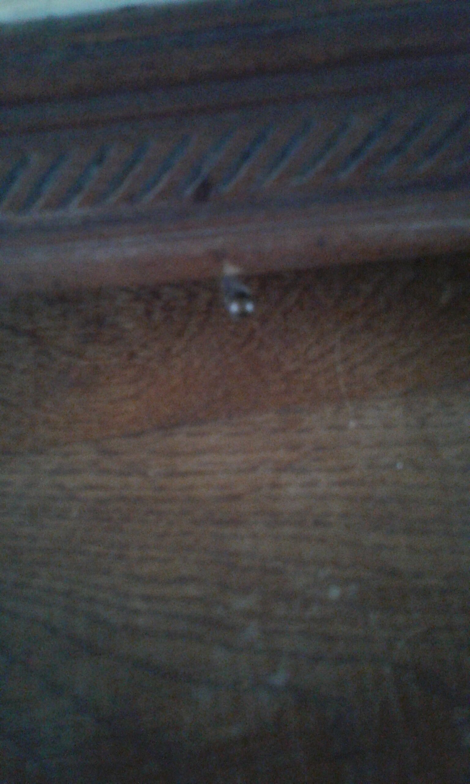 Underside of flat pattern musical bird art deco