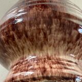 Accolay pitcher