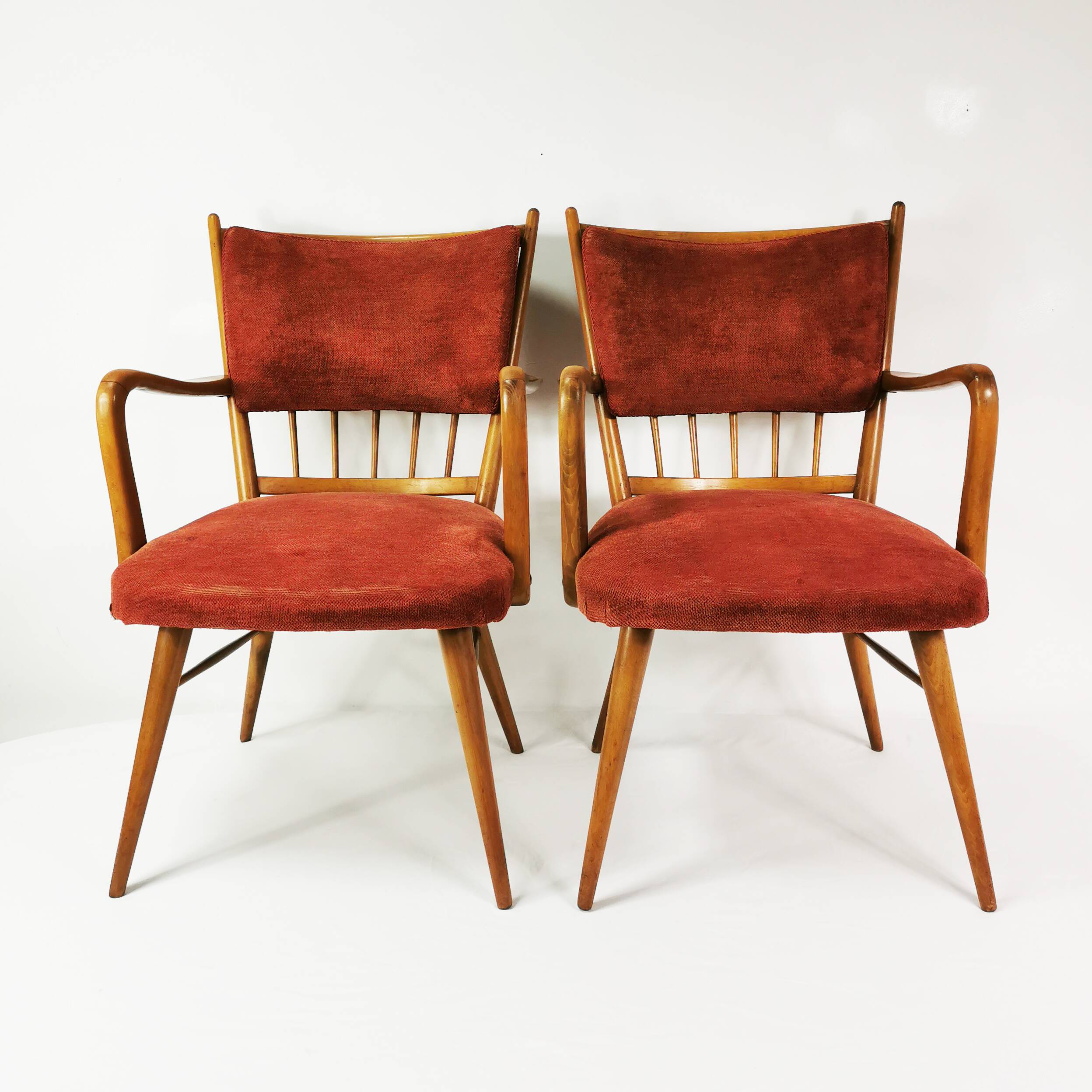 Mid Century Chairs, Casala, Germany 1950s