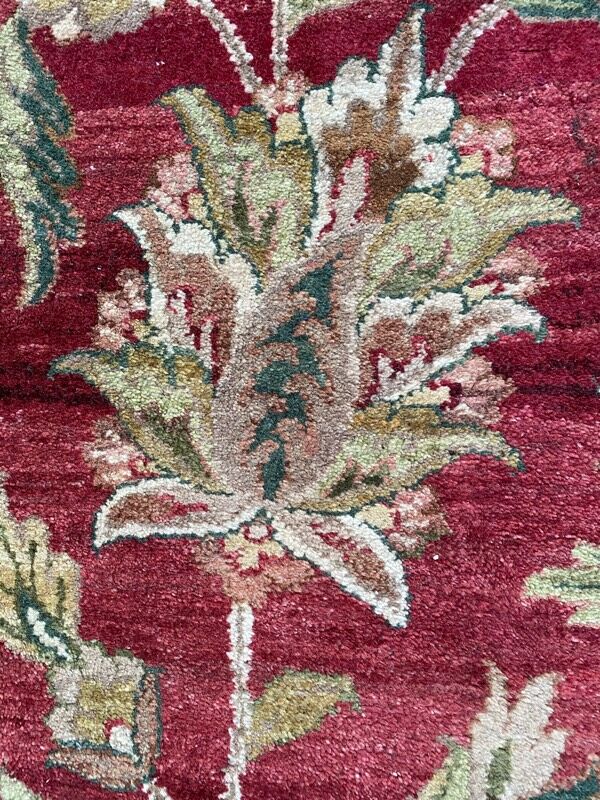 Carpet Agra India 285x380 cm