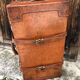 Art deco saddle leather trunk by old england paris