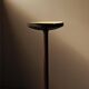 Art Deco floor lamp in mahogany and metal, 1930s