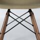 Raw Umber Herman Miller Vintage Original Eames DSW Side Shell Chair