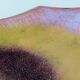 Enameled Copper Vide-Poche / Decorative Bowl Ascribable to Paolo De Poli