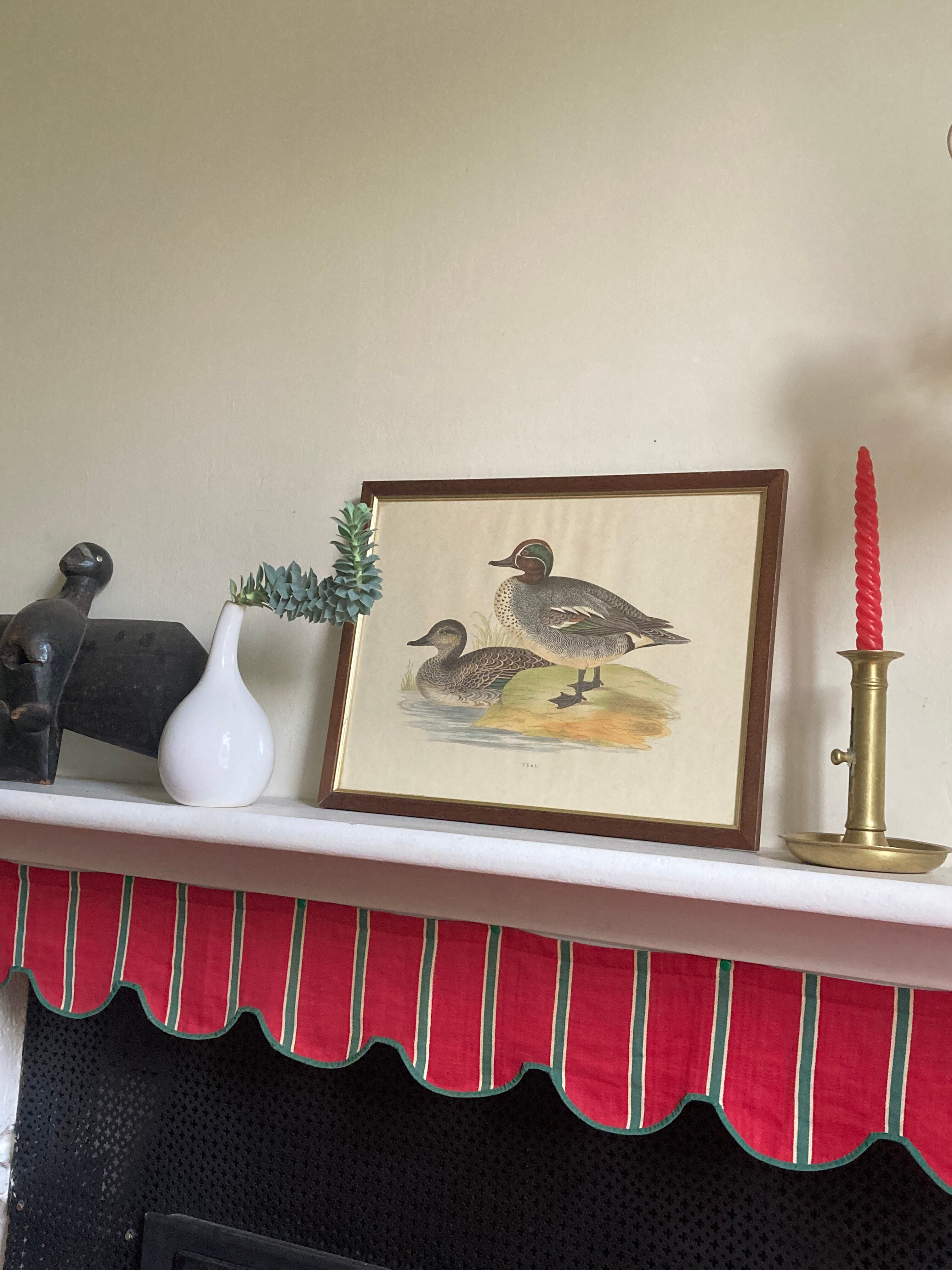 Antique engraving of duck wooden and gilded frame