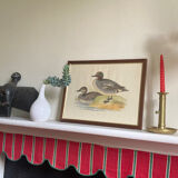 Antique engraving of duck wooden and gilded frame