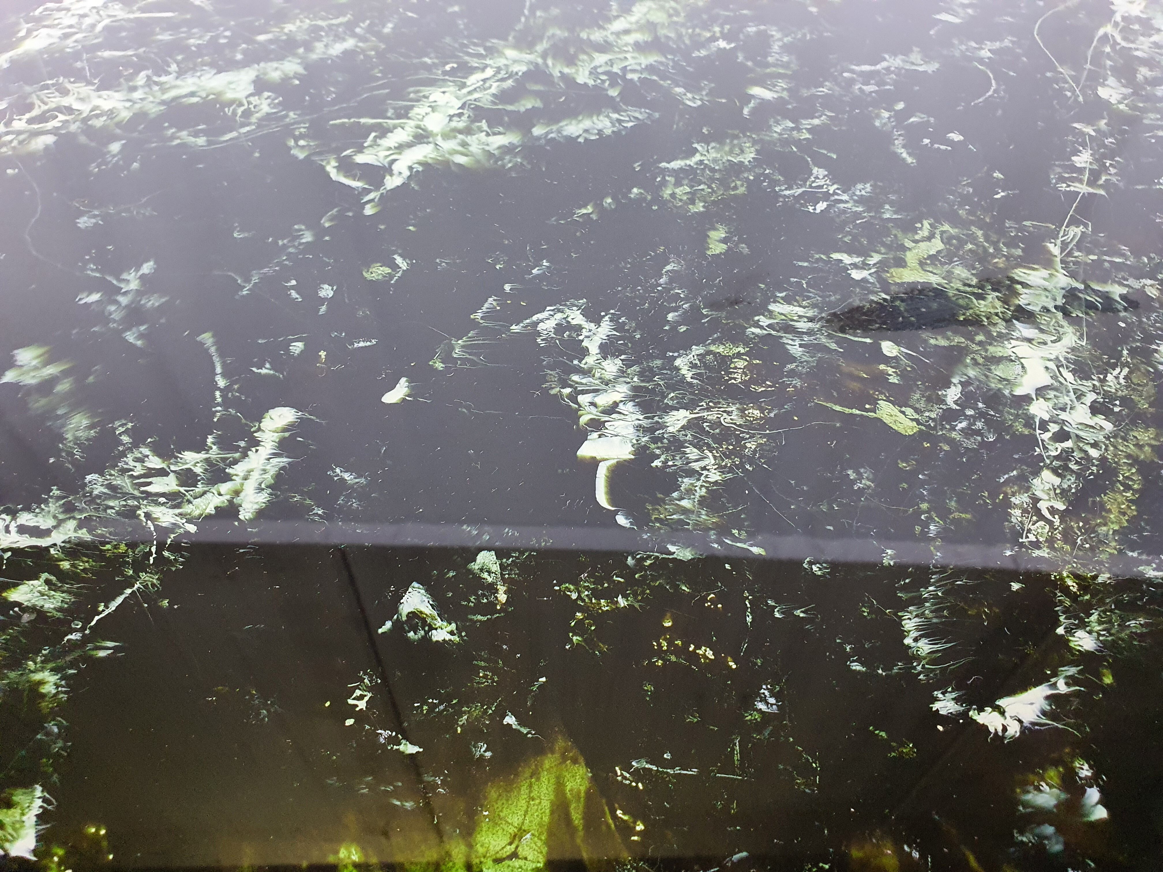 1960s sideboard in mahogany, glass and brass