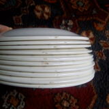 Salins "Moonlight" plates