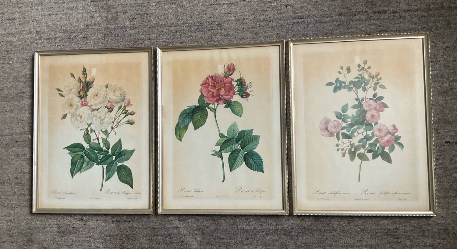 Series of 3 botanical frames from the 70s