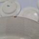 Set of 11 Dessert Plates Ter De Fer Salins Rivoli Model