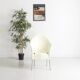 Lot de 4 chaises, Lord Yo par Philippe Starck pour Aleph, 1994