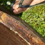 Pair of Thonet bistro chairs