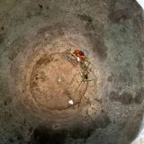 Chinese bronze baluster vase