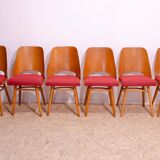 Mid Century dining chairs by Radomír Hofman, 1960´s, set of 6
