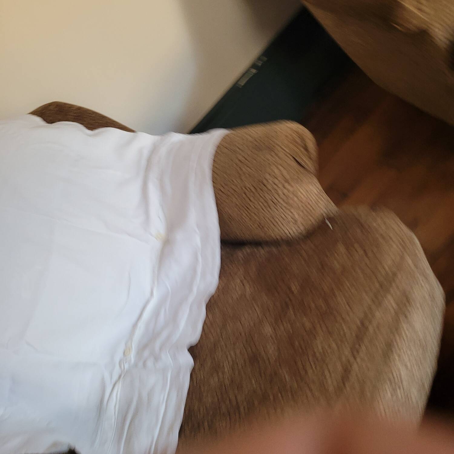 Large Monogrammed Pillowcase – Pure Cotton & Relief Embroidery – Early 20th Century