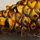 Pineapple ceramic enamel varnished pic flowers