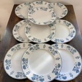 Assiettes terre de fer